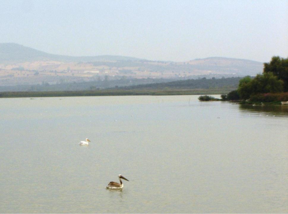 GİRİŞ Uluabat (Apolyont) gölü; Marmara denizinin güneyinde, doğu-batı doğrultusunda uzanan ve Bursa ili sınırları içinde