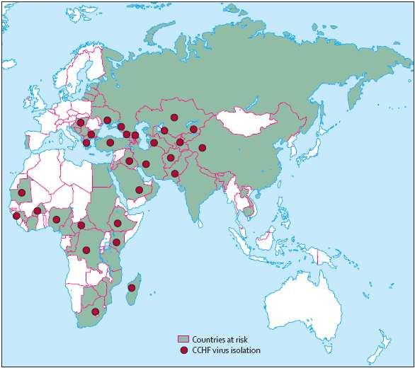 Şekil 2.10 Kırım Kongo Kanamalı Ateşi Virüsü nün dünyadaki dağılımı (Ergonul 2006a) Vektör olduğu kanıtlanmış 10 kene türü bulunmaktadır. Bunların altısını Hyalomma cinsi keneler oluşturmaktadır.