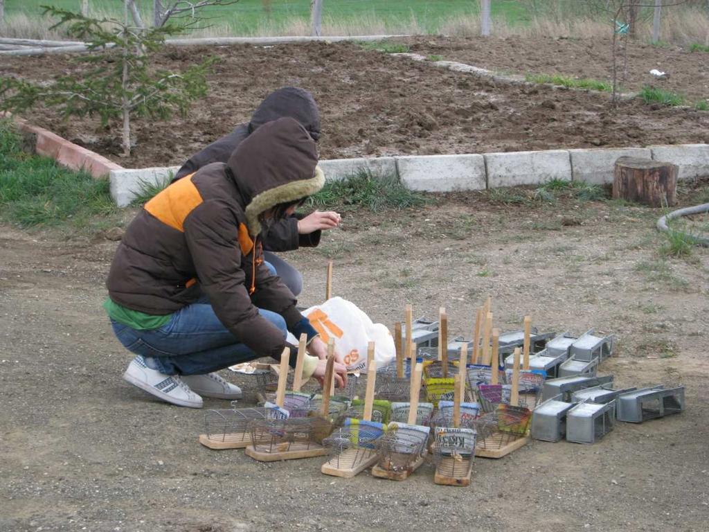 3. MATERYAL VE YÖNTEM Bu çalışmada, 2010 yılının nisan ayında Sorgun da (Yozgat) ve haziran ayında Çorum civarında yapılan arazi çalışmasından elde edilen kemirgen ve kene örnekleri kullanıldı.