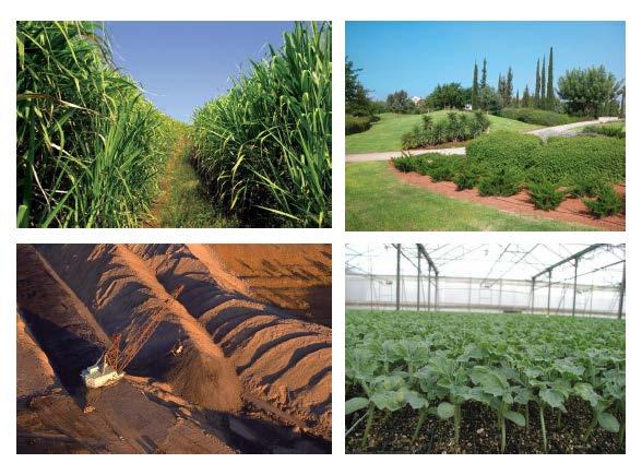 X FAALİYET ALANIMIZ Netafim, dünyanın sınırlı doğal kaynaklarını koruyan, ürün hasat miktarını ve kalitesini
