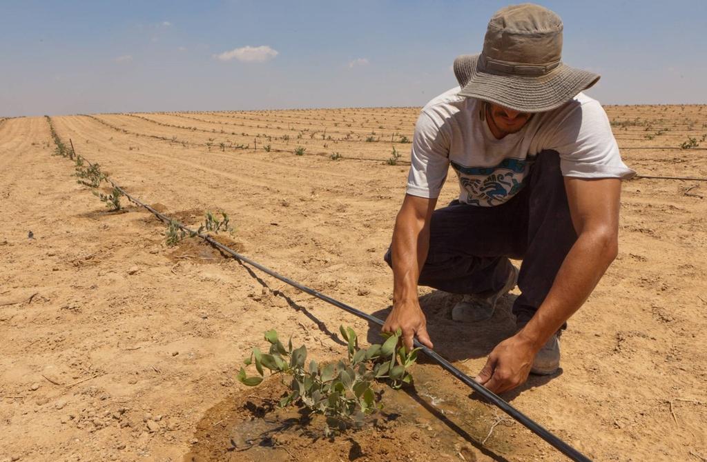 50 YILDIR TARIMIN GELECEĞİNİ ŞEKİLLENDİRİYORUZ 1965 te çiftçi tarafından çiftçiler için oluşturuldu Damla Sulama İsrail in Negev Çölü ndeki Kibbutz Hatzerim de aşırı su kıtlığına