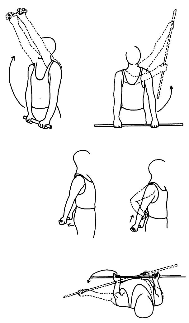 BÖLÜM 2: ÜST EKSTREMİTE BÖLGESİ Şekil 2.7: Scapular hareket b- Omuz abduksiyonu: Ayakta dik durulur, bir sopa her iki el ile aşağıda tutulur.