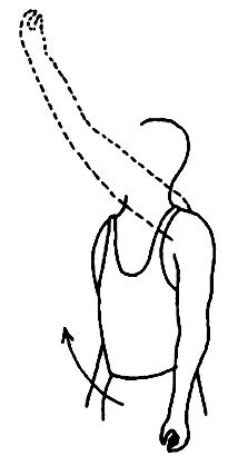 BÖLÜM 2: ÜST EKSTREMİTE BÖLGESİ 4- Triceps kuvvetlendirme: Ağrılı omuz tavana doğru kaldırılmış şekilde sırtüstü yatılır. Ele hafif bir ağırlık alınır.