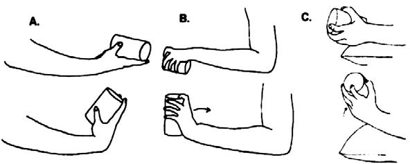 BÖLÜM 2: ÜST EKSTREMİTE BÖLGESİ Medial apofizit egzersizleri 1-3 germe egzersizleri hemen, 4-6 germe egzersizleri ağrı geçince yapılmalıdır.