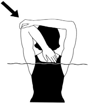 131) Primer Kaslar: Biceps brachi, brachialis, brachioradialis, fleksor carpi radialis, fleksor carpi ulnaris, ve deltoid Omuz ekstansiyonu yapılır ve eller yere paralel olacak şekilde dirsekler