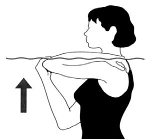 132) Primer Kaslar: Triceps brachi Dirsek fleksiyonda iken boyun arkasına dokunulur. Dirsek üzerinde karşıt el yerleştirilerek kuvvet uygulanır.