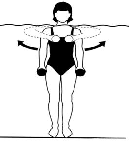 135) Primer Kaslar: Biceps brachi, brachialis, brachioradialis, fleksor carpi radialis, fleksor carpi ulnaris, triceps ve deltoid Kollar yanda dirsekler ekstansiyonda iken her iki elde ağırlık