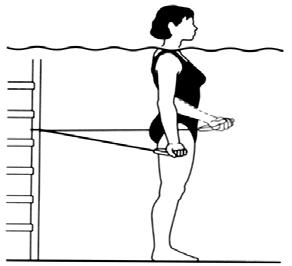 136) Primer Kaslar: Biceps brachi, brachialis, brachioradialis, triceps Tüp bantlar kullanılarak yapılan bir egzersizdir.