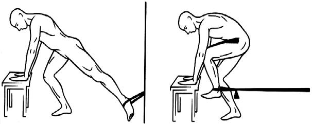 BÖLÜM 3: ALT EKSTREMİTE 14- Lastik band ile kalça fleksiyon egzersizi: Eller bir sehpa üzerinden tutar, bir bacak ekstansiyonda iken