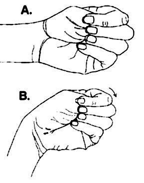 115) Primer kaslar: adduktor longus, brevis, magnus, gracilis ve pectineus Ayakta bacaklar omuz genişliğinde açık iken bir bacak ekstansiyonunu korur.