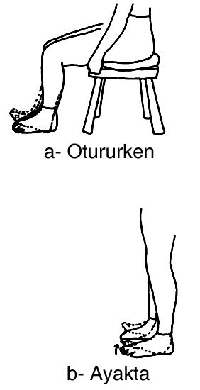 156: Tibialis anterior germe 6.Parmak uçlarını kaldırma (Şekil 3.157) a.