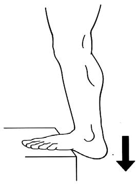 Etkilenmiş bacakla parmaklar havuz duvarına değecek şekilde öne bir adım alınır. Arka ayağın topuğu yerde sabit olmalıdır ve arka dizi fleksiyona gider. Şekil 3.
