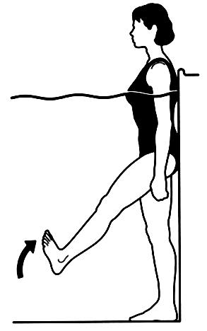 BÖLÜM 3: ALT EKSTREMİTE Ayak bileği ve ayak egzersizleri Ayak bileği dorsi fleksiyonu (Şekil 3.186) Primer kaslar: Tibialis anterior Havuz duvarına sırtı dayayarak ayakta durulur.