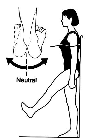 186: Dorsi fleksiyon Ayak bileği plantar fleksiyonu (Şekil 3.187) Primer kaslar: Gastrocnemius, soleus. Havuz duvarına sırtı dayayarak ayakta durulur.