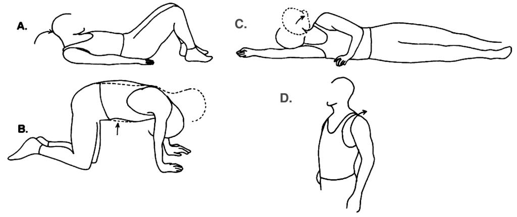 18a-d) Şekil 4.18: Kuvvetlendirme egzersizleri a- Boyun fleksiyonu: Çengel pozisyonunda kollar yanlarda sırtüstü yatılır. Çene içeri doğru çekilerek yavaşça baş yerden kaldırılır.