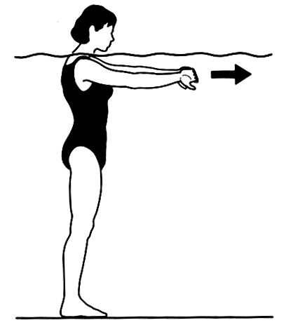 BÖLÜM 4: KOLUMNA VERTEBRALİSİN ANATOMİSİ Trapez germesi: Primer kaslar: trapez, semispinalis capitis, splenius cervicis ve levator scapula Eller önde kavuşturulup kollar ileri doğru uzatılır.