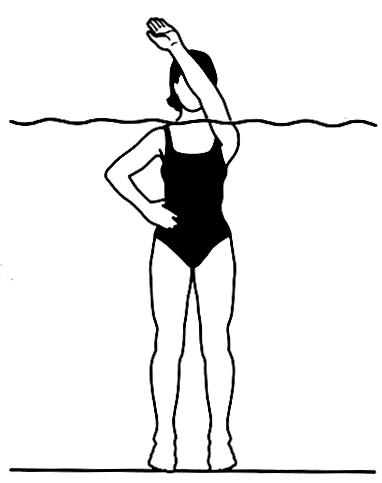 major; fleksiyon yapıldığında sacrospinaller Yüz duvara dönük birkaç adım geride durarak havuz kenarından tutulur. Kalça önce öne getirilir sonra arkaya doğru itilir. (Şekil 4.78) Şekil 4.