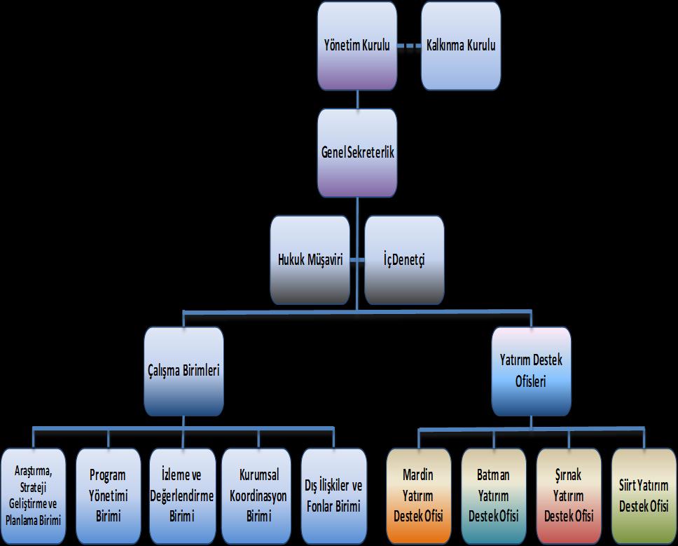 1) Organizasyon Şeması