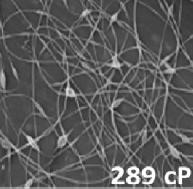 10. Viskozite değişiminin nanofiber morfolojisine etkisini gösteren SEM