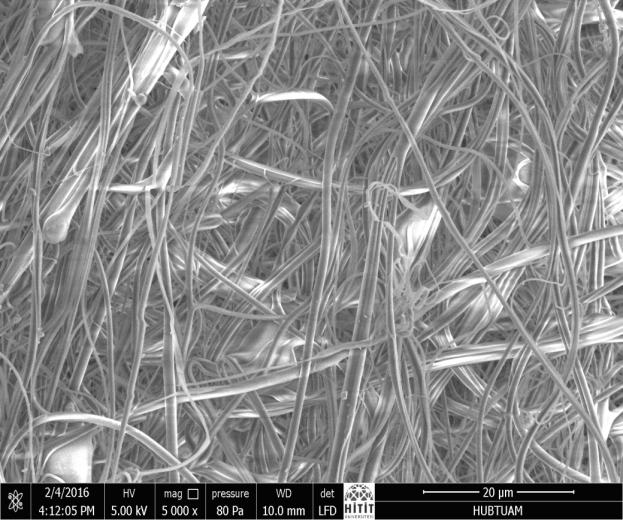 65 nanofiberine ait 5000x ve 10000x büyütmedeki SEM görüntüleri Şekil 4.