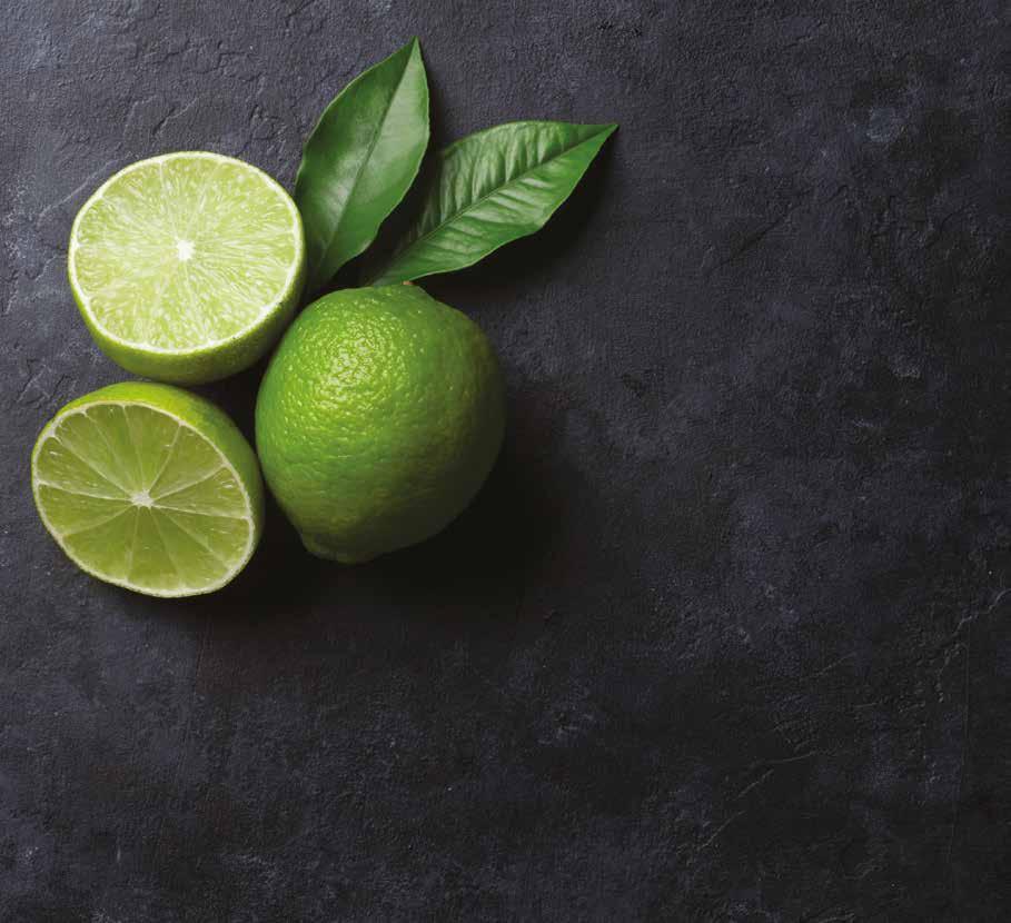 LİME SUYU Lime ile üretilmiş %100 doğal Lime suyu Limonlar sıkıldıktan sonra şişelenir ve -40 C de şoklanarak taze Lime, vitamin ve mineral değerlerinin korunması sağlanmaktadır.