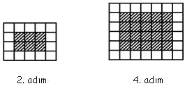 EK- 1 (devam) 3. Aşağıda birim karelerle oluşturulmuş bir şekil örüntüsünün iki adımı verilmiştir. a) 10. adımda toplam kaç beyaz kare vardır? Nasıl bulduğunuzu açıklayınız. b) 50.