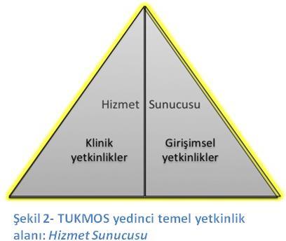 5 uzmanlık dalındaki eğitim sürecinde kazanılan bu 7 temel alana ait yetkinlikler uyumlu bir şekilde kullanılabildiğinde yeterlilikten bahsedilebilir.