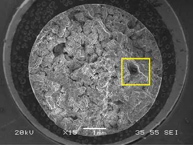 23. b deki SEM görüntüsünden de anlaşılacağı gibi oksit film tabakası çevresinde oluşmuş demirce zengin Al-Si-Fe intermetaliği ve Al-Si ötektiği