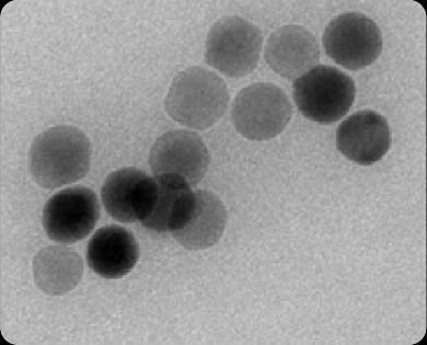 6 T 5 mt H Sabit mıknatıslar FFP TEM image of nanoparticles Süperparamanyetik demir oksit