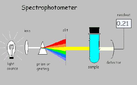 Monokromatör: tek bir dalga boyundaki ışının seçilmesi için kullanılır