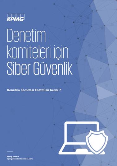 Takvimi Denetim Komitesi Enstitüsü Serisi 12 Denetim