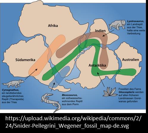 Wegener kıtaların kayması düşüncesini destekleyen çok sayıda jeolojik, paleontolojik ve iklimle ilgili bilimsel kanıt