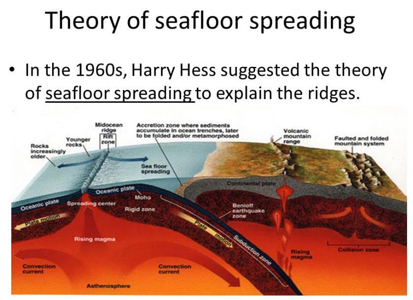 Hess, kıtaların okyanusal kabuk boyunca değil de, okyanusal kabuk ile birlikte hareket ettiğini önermiştir.