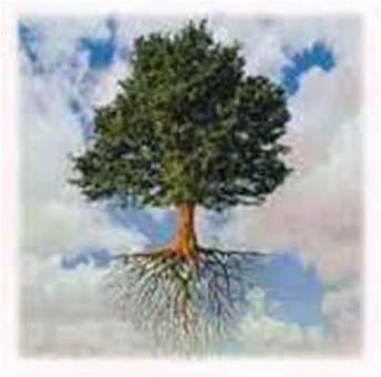 Sorun Ağacı İle Hedef Analizi Etkileşimi Sorun ağacı olumsuz durumları, olumlu başarılar veya hedefler olarak ifade edilen
