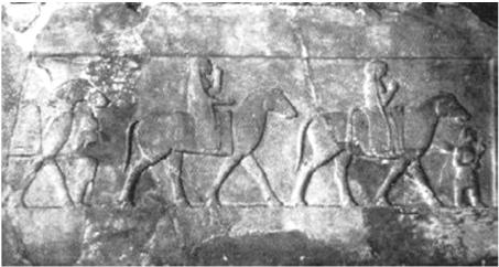 Resim 4: Bursa steli, av