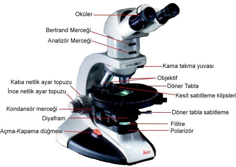 Kullanılan ışık kaynağına göre; A) Gözle görülebilen ışığı kullananlar; a) Basit ışık mikroskobu b) Polarizasyon mikroskobu c) Faz kontrast mikroskobu d)