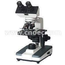 d) Karanlık Alan Mikroskobu Doku kültürlerinde canlı hücreler, çekirdekçik, çekirdek zarı, mitokondri