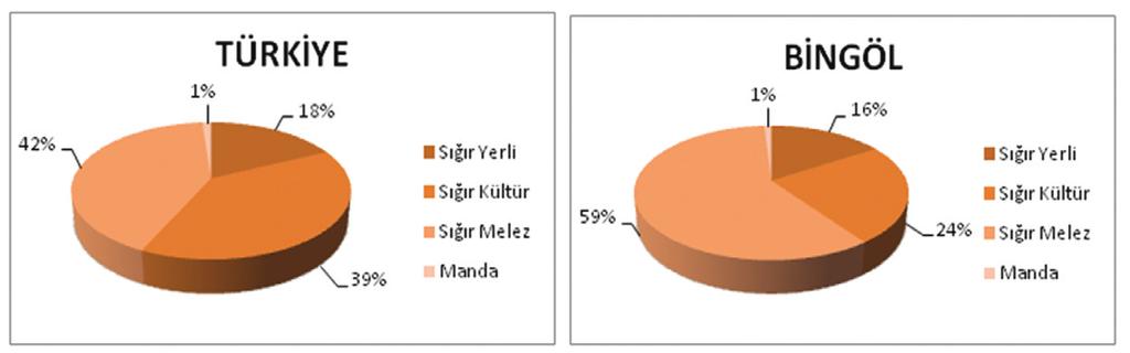 Bingöl Üniversitesi Sosyal Bilimler Enstitüsü Dergisi, Yıl: 7 Cilt: 7 Sayı: 13 Bahar 2017 Şekil 3: Türkiye ve Bingöl İli Büyükbaş Hayvan Varlığının Oransal Dağılımı (2006-2016).