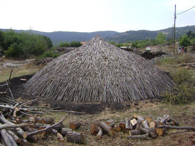 İnsanın enerji