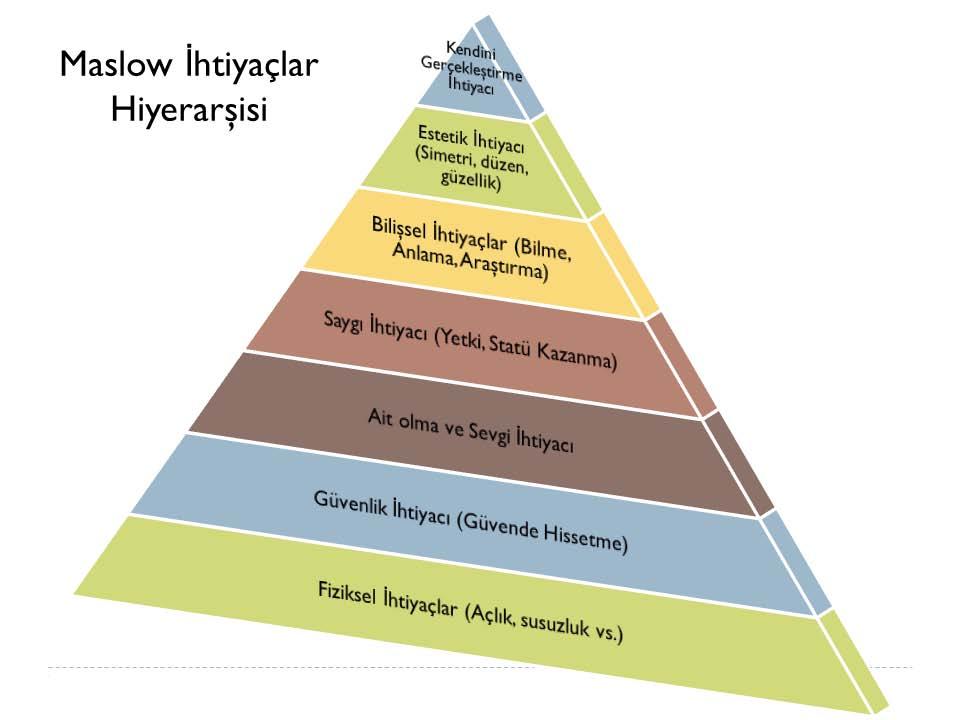 ÜNİVERSİTE NEDEN