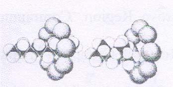 1 de, bir zeolit türü olan klinoptilolitin moleküler elek yapısı ve bir maddeyi absorblaması şematik olarak verilmiştir. a Grafik 1.1. Klinoptilolitin Moleküler Elek Yapısı (a) ve Bir Maddeyi Absorblaması (b) (Leung, 2004).