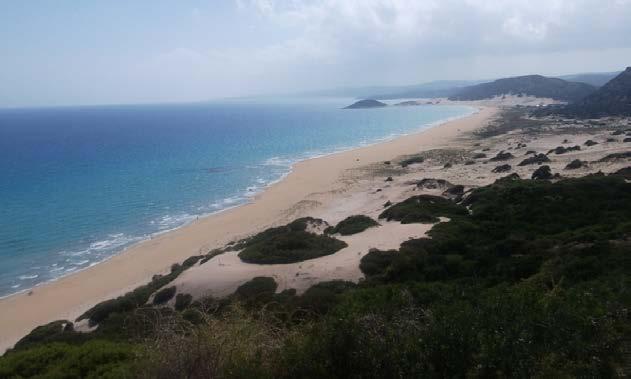 Arazi Kullanımı Planlaması Yönünden Karpaz Yarımadası nın Turizm Alanları 113 Foto 2. Dipkarpaz yönetsel alanının güneyinde yer alan Altın Kum plajı Foto 3.
