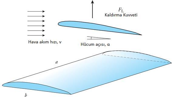 Kaldırma Kuvveti Bir kanadın eğimi hücum açısı (α) olarak bilinir ve durma noktası olarak bilinen noktaya kadar kaldırma kuvveti hücum açısıyla