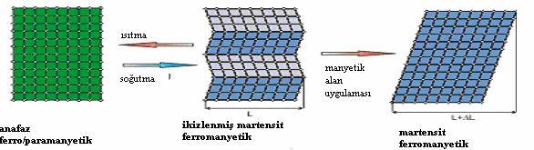 3- Paramanyetik ve diamanyetik maddelerde B manyetik akı yoğunluğu ile H alan şiddeti arasındaki doğrusal bir ilişki varken, ferromanyetik malzemelerde bu ilişki doğrusal değildir.