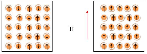 Şekil 1.5.5.1. Ferrimanyetik bir malzemenin birim hücresi (Ağıl 2008). Ferrimanyetik malzemelerde atomların manyetik momentlerinin bir başka şekilde nasıl karakterize edildiği Şekil 1.5.5.2 de görülmektedir.
