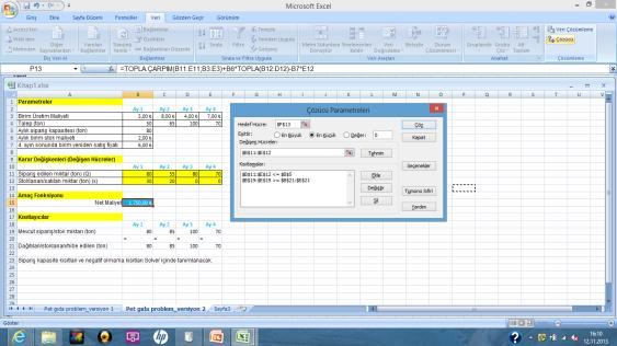Excel Solver Çözüm (Versiyon 2) Pet