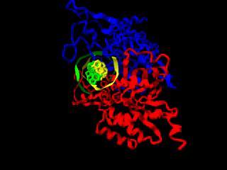 5.Protein metabolizmasının bozulması otetrasiklinler, aminoglikozidler, kloramfenikol, makrolid, linkozamidler oetki spektrumları geniş oribozomlar ile birleşerek protein sentezini bozarlar omemeli