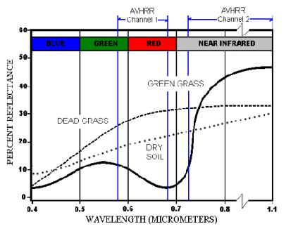 (Kaynak: https://www.usgs.gov/) Obje yüzeylerinin yansıma özellikleri aynı zamanda spektral yansıma özelliklerini belirler.