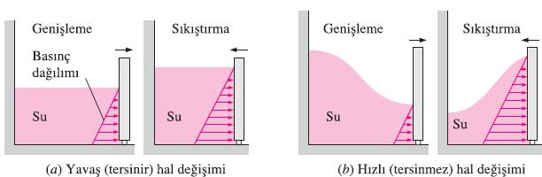 (1) İncelemek kolaydır ve (2) Gerçek hal değişimlerinin karşılaştırılabileceği ideal modeller (kuramsal limitler) oluştururlar.