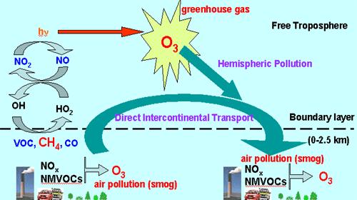 Organik kirleticilerin atmosfer ve canlılar üzerine etkileri 1.